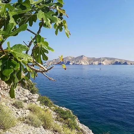 Garden Baška