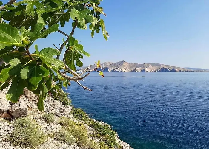 Garden Baška